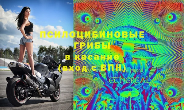 МДМА Арсеньев
