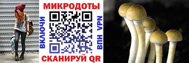 Псилоцибиновые грибы ЛСД  Юхнов 
